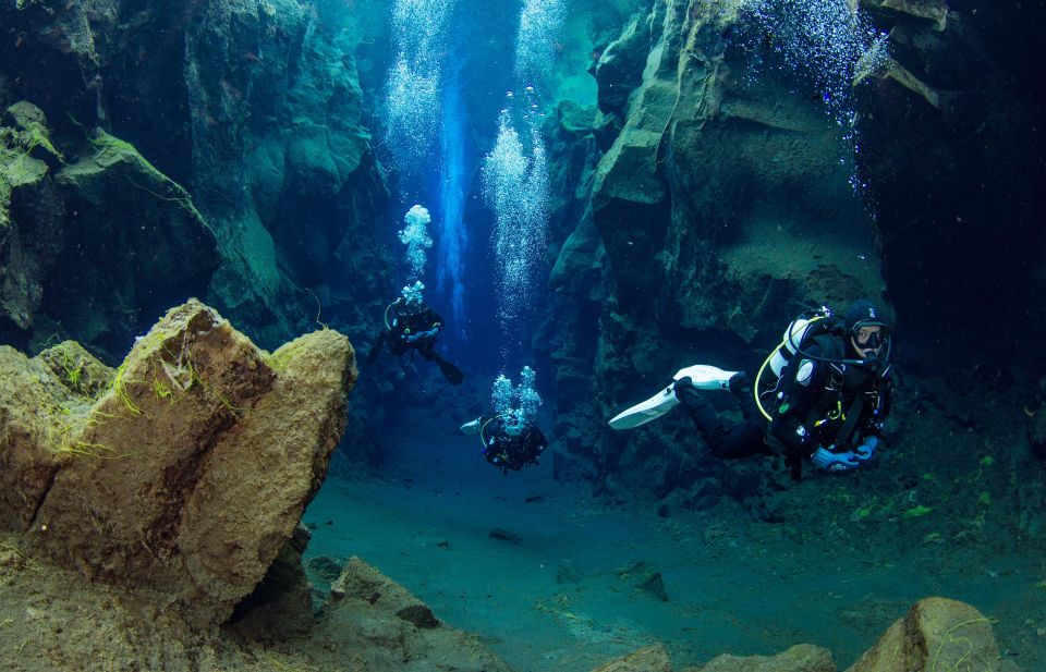 Diving in Silfra Fissure in Thingvellir National Park - Key Points