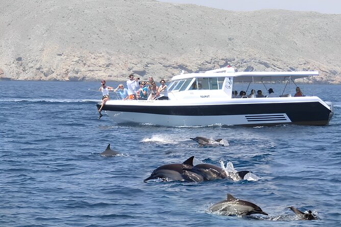 Dolphin Watching and Snorkeling Activity in Muscat - Key Points