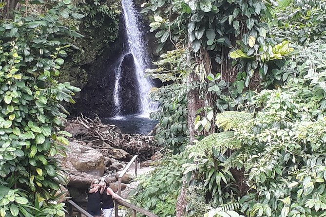 Dominica Half-Day Tour: Mero Beach, Waterfalls, Mineral Bath Wotten Waven - Tour Overview