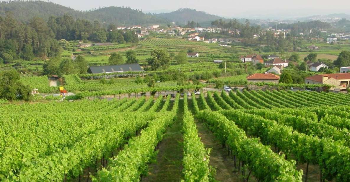 Douro & Vinho Verde Private Tour - Key Points