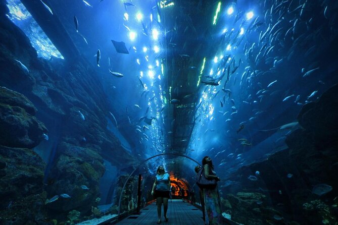 Dubai Aquarium With Optional Glass Bottom Boat Tour & Transfers - Key Points