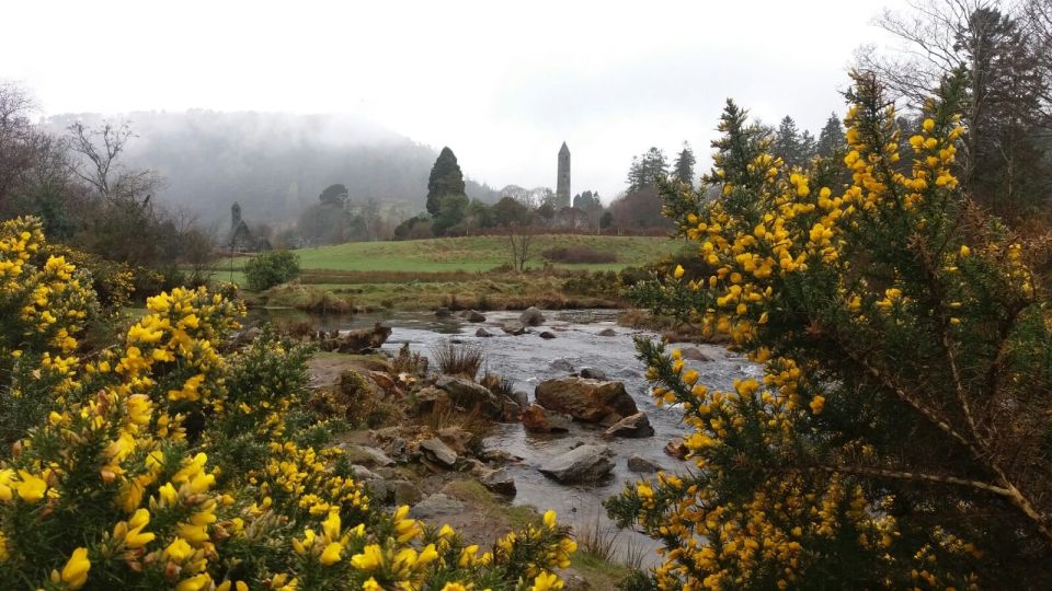 Dublin: Full-Day Wicklow Mountains Tour W/ Glendalough Visit - Key Points