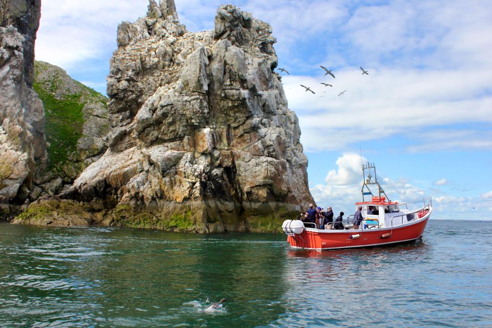 Dublin: Howth Coastal Boat Tour With Irelands Eye Ferries - Key Points