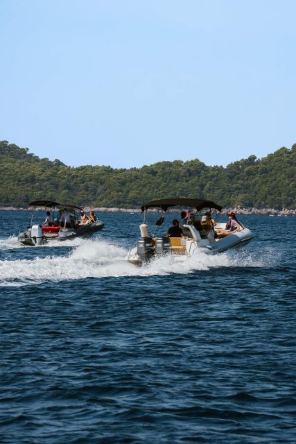 Dubrovnik: Full-day Elafiti Island and Blue Cave Boat Tour - Key Points