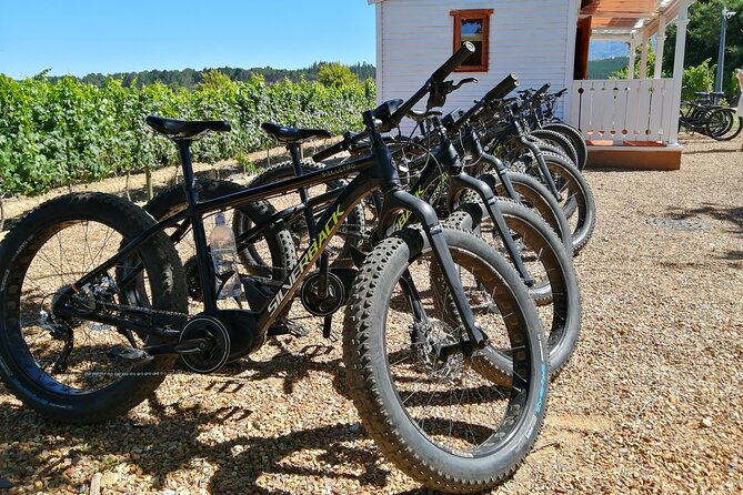 E-Bike Wine Tour Stellenbosch (Half Day) - Key Points