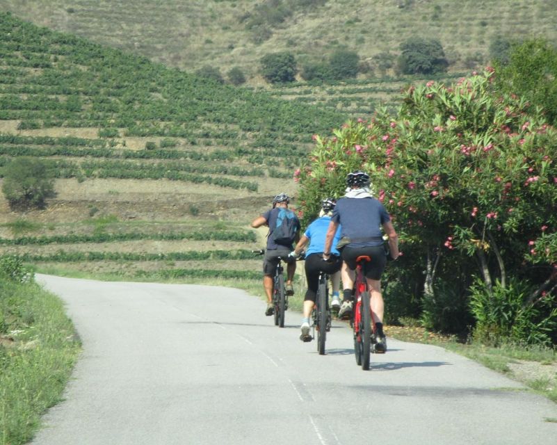 E-MTB - Vineyards Douro Tour - Key Points