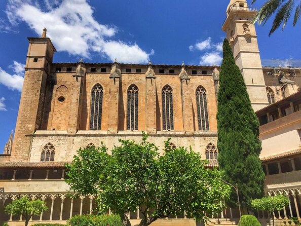 Electric Scooter Tour in Palma De Mallorca - Key Points