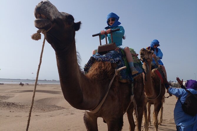 Essaouira: an Unforgettable 2 Hour Ride on a Camel - Key Points