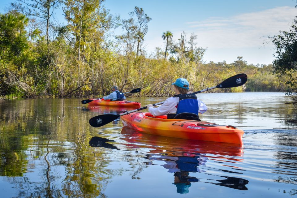 Everglades City: Guided Kayaking Tour of the Wetlands - Key Points