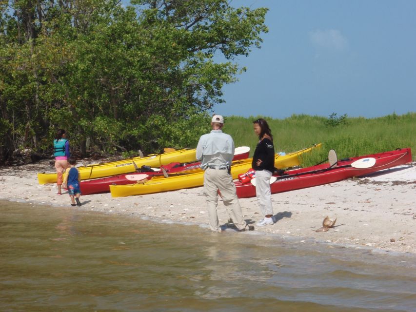 Everglades National Park: Boat Assisted Kayak Eco Tour - Key Points