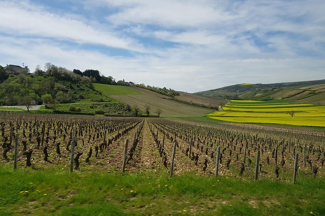 Exclusive Wine Tour in Sancerre & Pouilly Fumé From Paris - Key Points