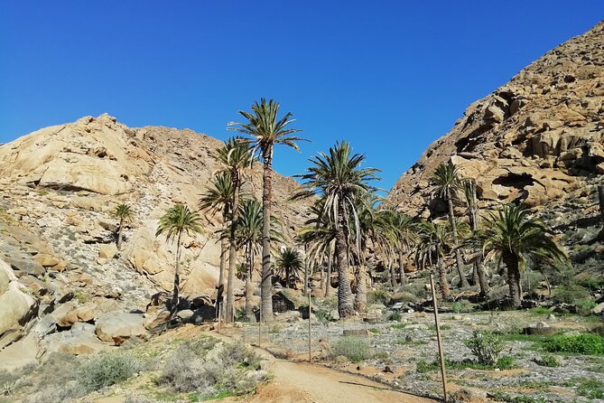 Excursion to Ajuy Caves With a Secret Las Penitas Canyon Hike - Overview of the Excursion