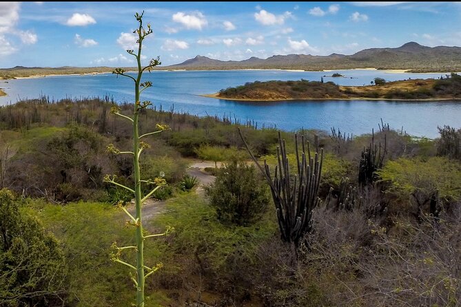 Explore Bonaire: North & South Tour - Tour Overview