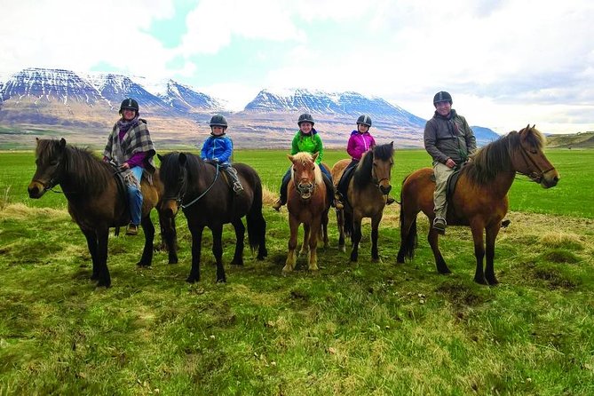 Family Friendly Horse Riding Tour in Skagafjörður - Key Points