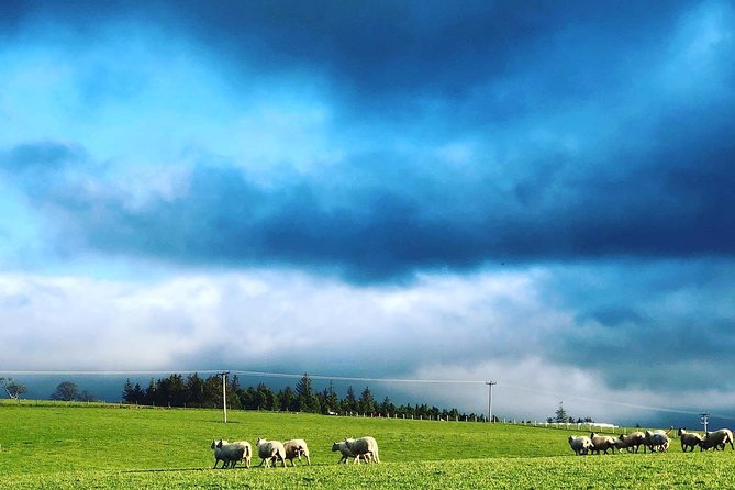 Farm Attraction - Opening Hours and Seasons