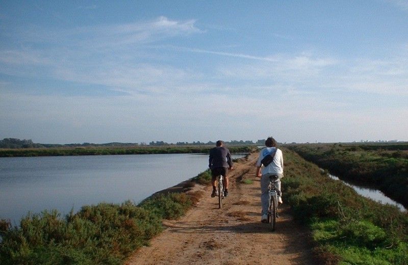 Faro Bike Tour Through the Beautiful Ria Formosa - Key Points