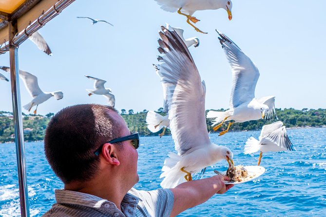 Fish Picnic: Elafiti Island Hopping Cruise With Home-Made Lunch - Key Points