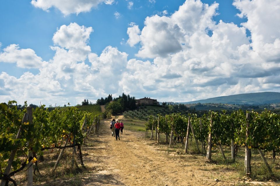 Florence: Private Full Day Tour to Chianti Wine Region - Key Points