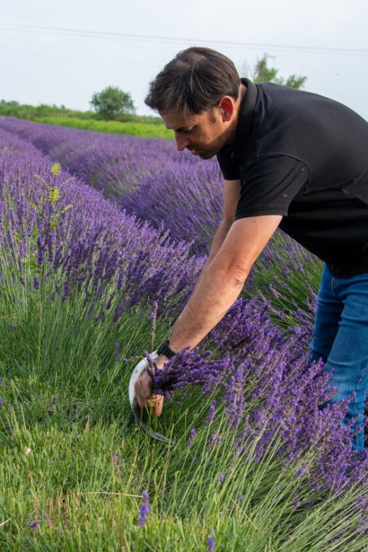 Flowers Picking and Essential Oil Distillation Workshop - Key Points