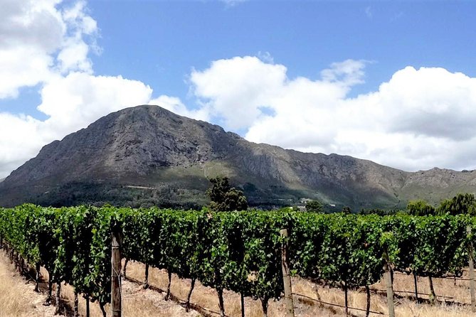 Franschhoek Winelands Luxury EBike Tour - Key Points