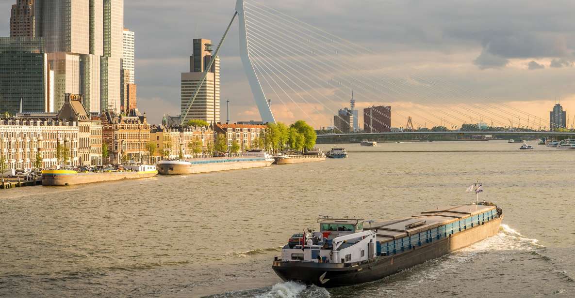 From Amsterdam: Rotterdam and The Hague Tour in Spanish - Key Points