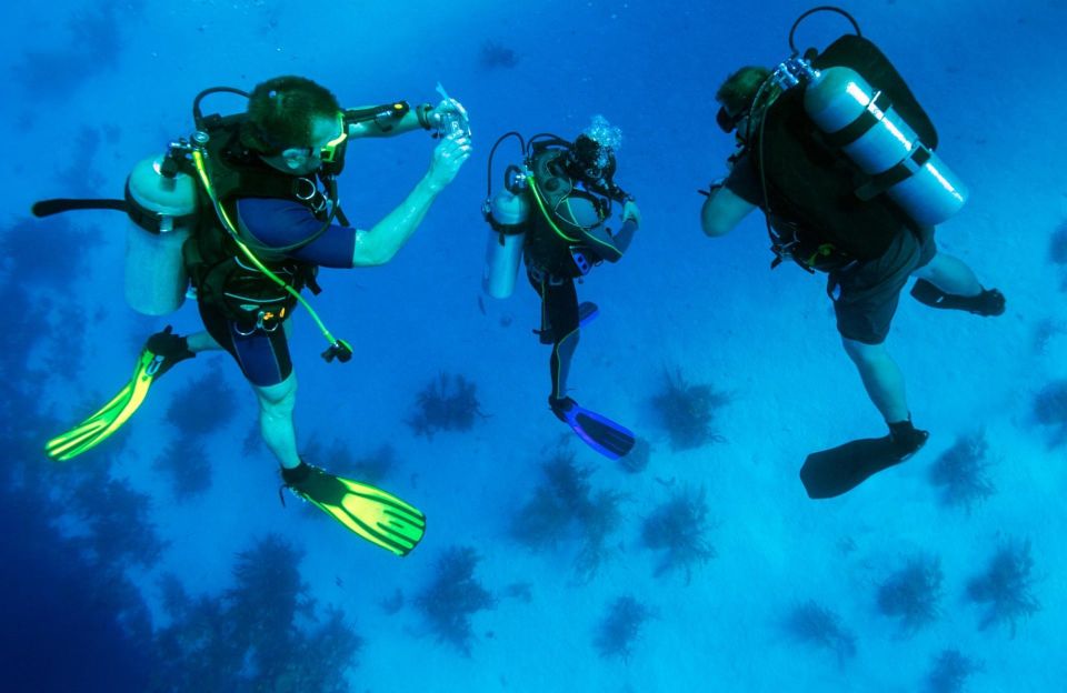 From Bodrum: Scuba Diving in the Aegean Sea - Key Points