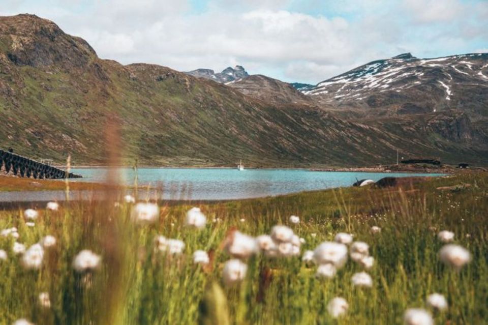 From Bygdin: Hike and Dine in Jotunheimen Tour - Key Points