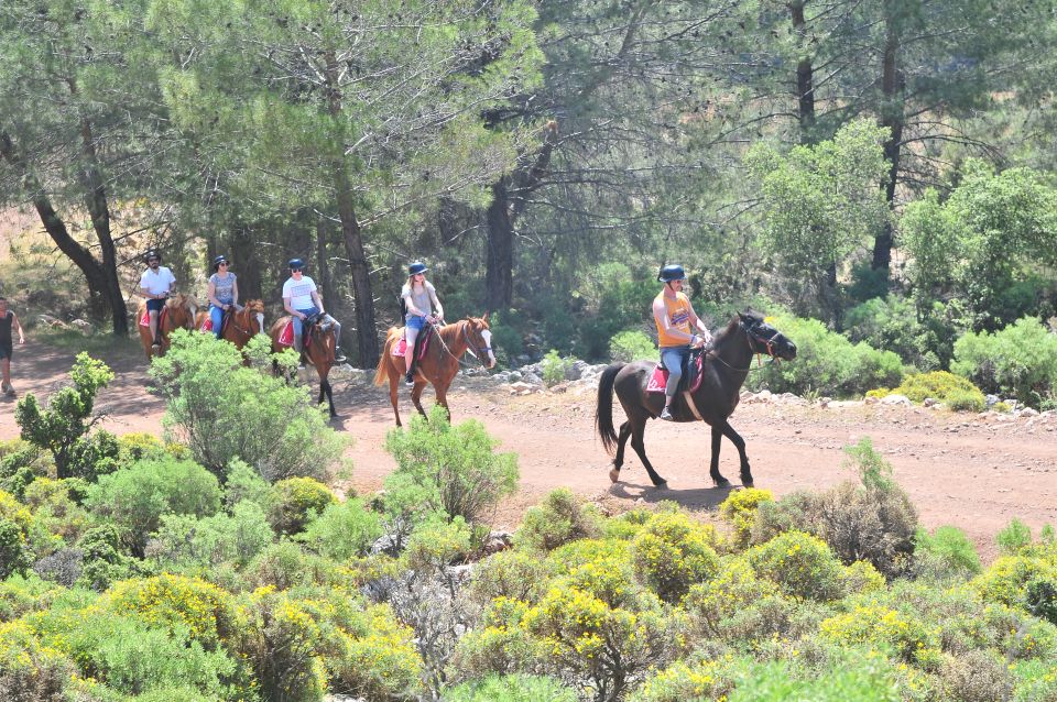 From Fethiye: Horse Riding Adventure - Key Points