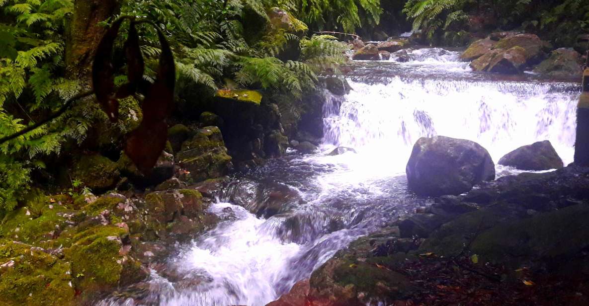 From Funchal: São Jorge Valleys Levada Walk - Key Points