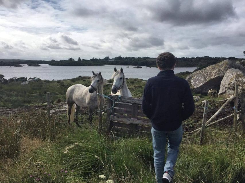 From Galway: Connemara and Connemara National Park Day Trip - Key Points