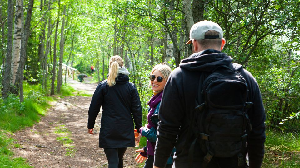 From Helsinki: Magical Taiga Hike in Liesjärvi National Park - Key Points