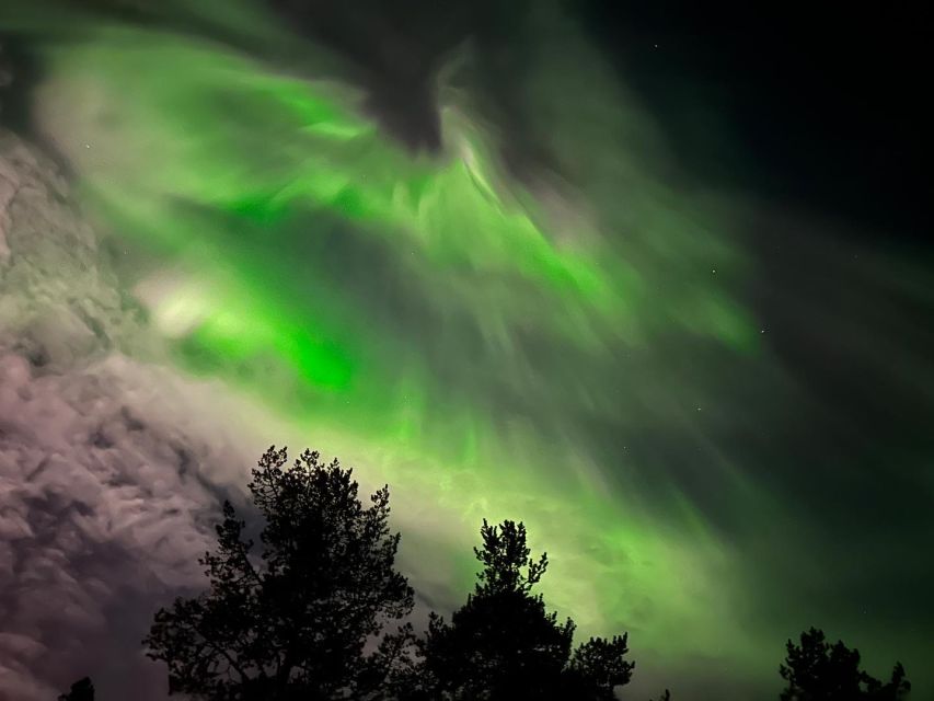 From Kiruna: Abisko National Park Northern Lights Tour - Key Points