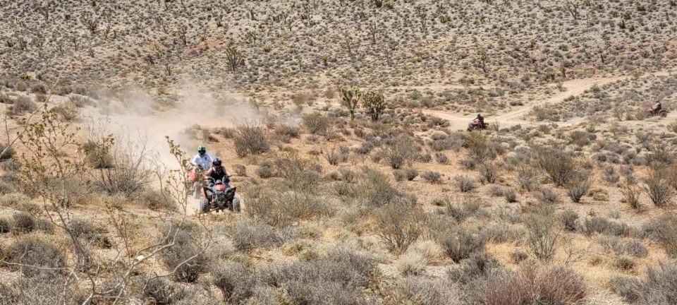 From Las Vegas: ATV Off-Road Adventure With Transfer Shuttle - Key Points