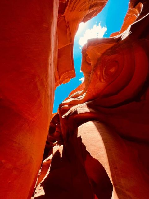 From Las Vegas: Lower Antelope Canyon & Horseshoe Bend Tour - Key Points