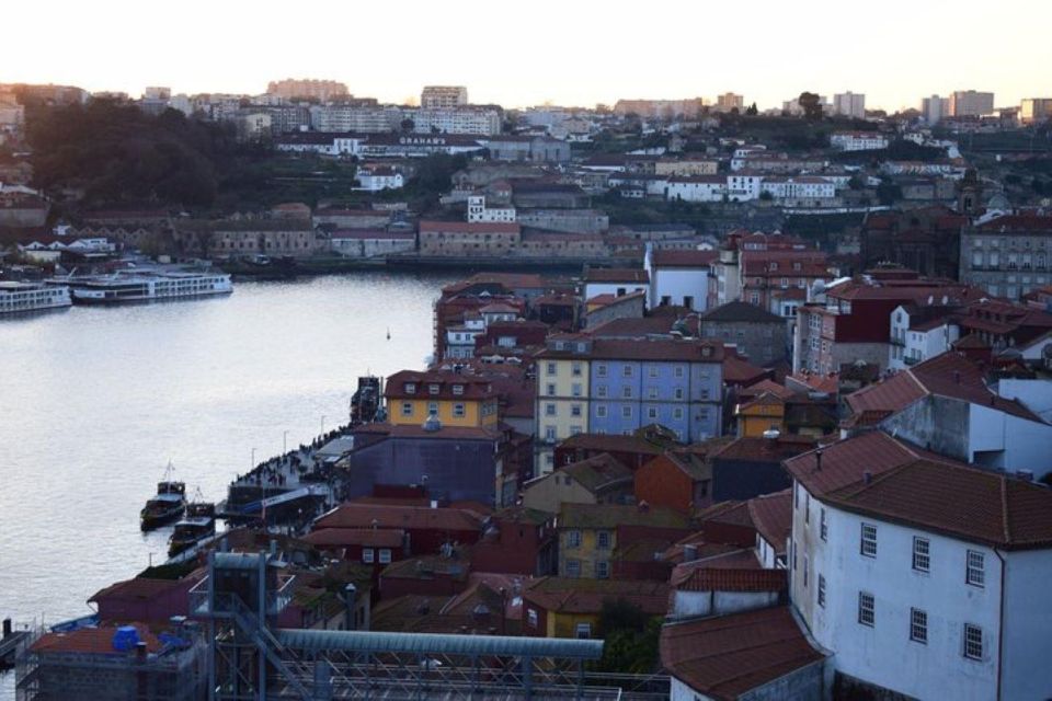 From Lisbon: Douro Valley and Porto Town Experience - Key Points