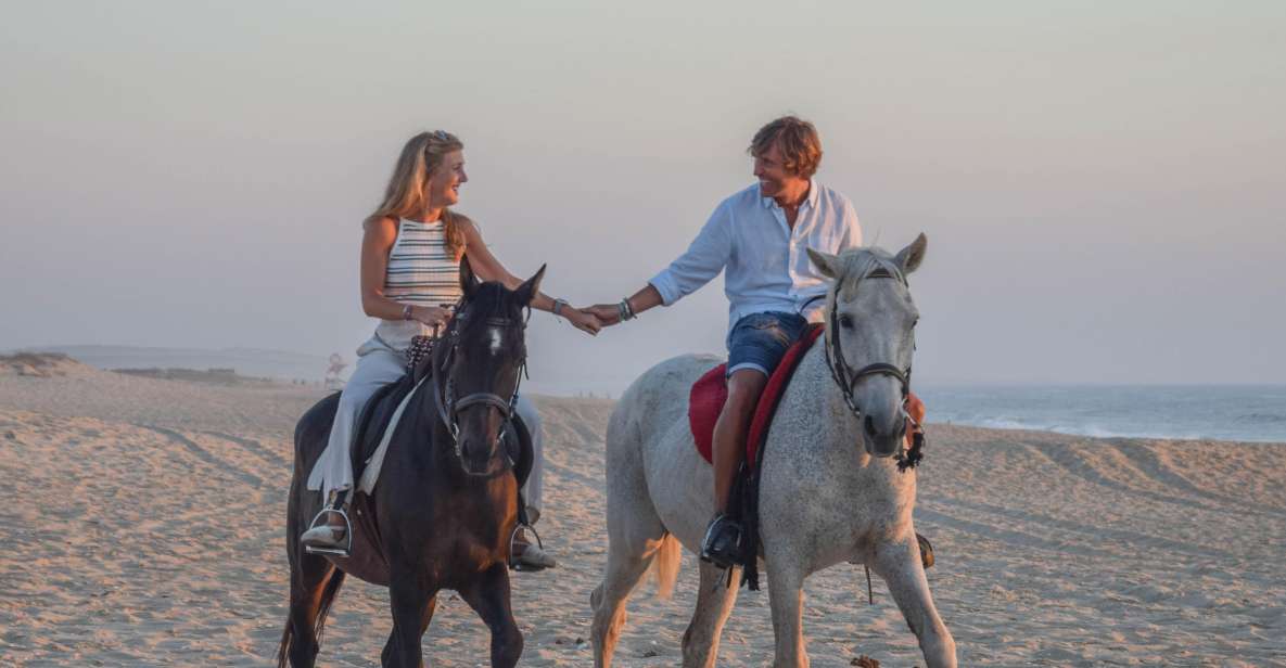 From Lisbon: Horseback Riding on Comporta Beach - Key Points