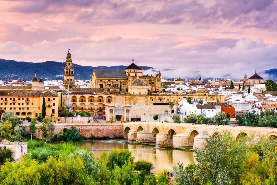 From Malaga: Private Day Trip to Cordoba, Mosque & Cathedral - Key Points