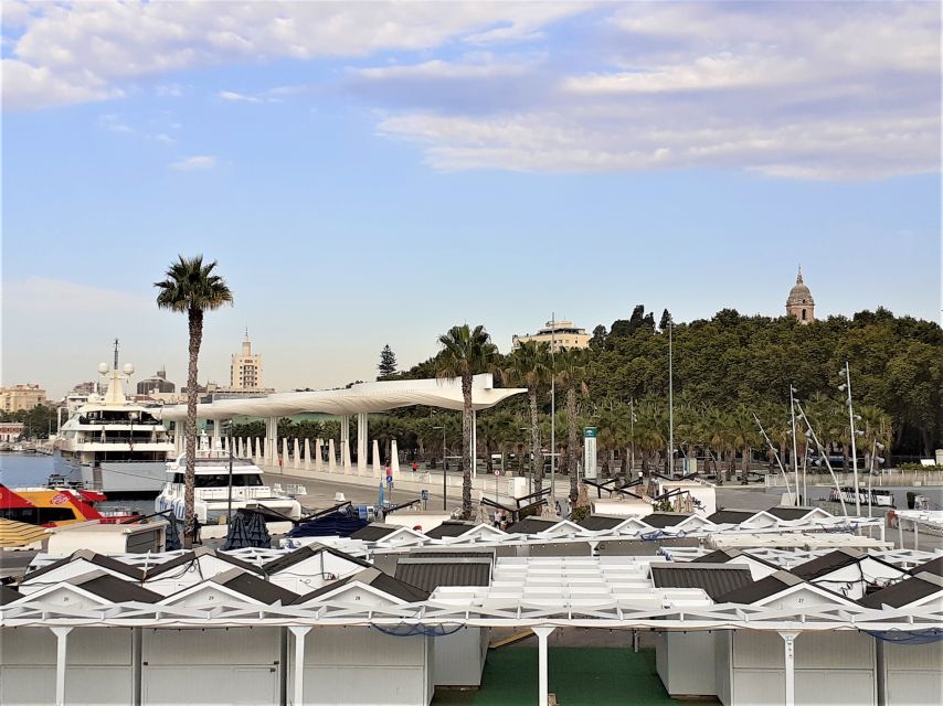 From Marbella: Malaga Private Tour - Key Points