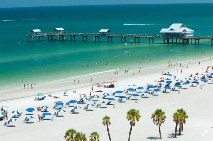 From Orlando: Clearwater Beach and Marine Aquarium Admission - Key Points