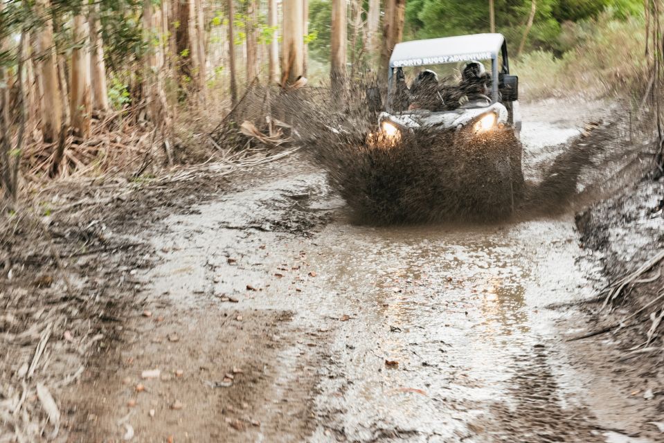 From Porto: Off-Road Buggy Adventure - Key Points