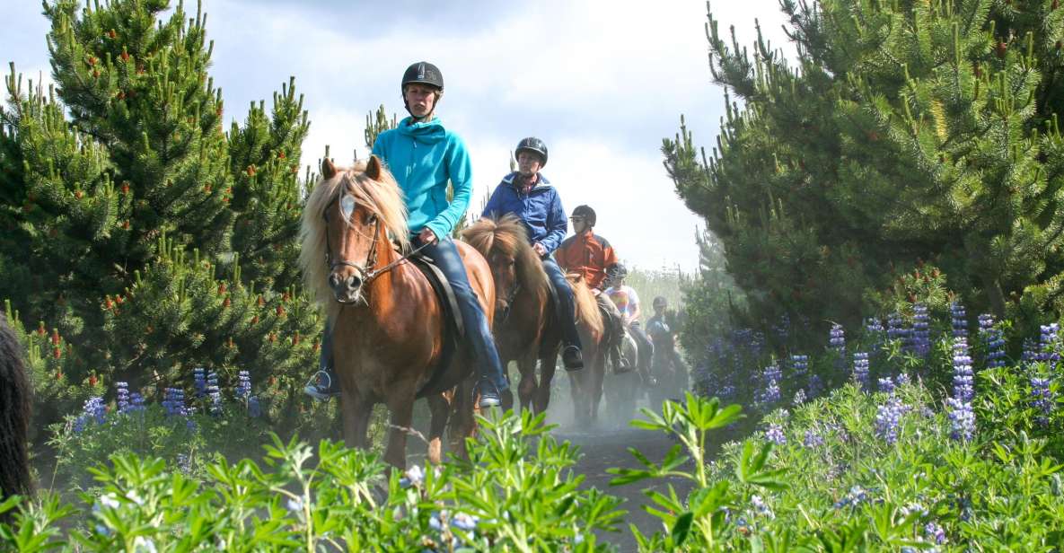 From Reykjavik: Icelandic Horse Riding Tour in Lava Fields - Key Points