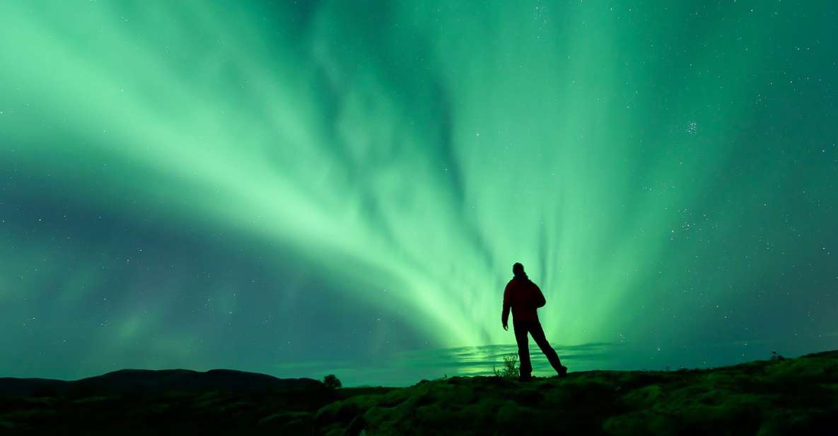 From Reykjavik: Northern Lights Tour - Key Points