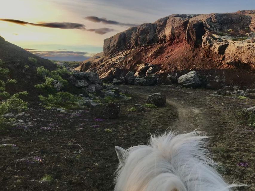 From Reykjavik: Small-Group Horse Riding Tour With Pickup - Key Points