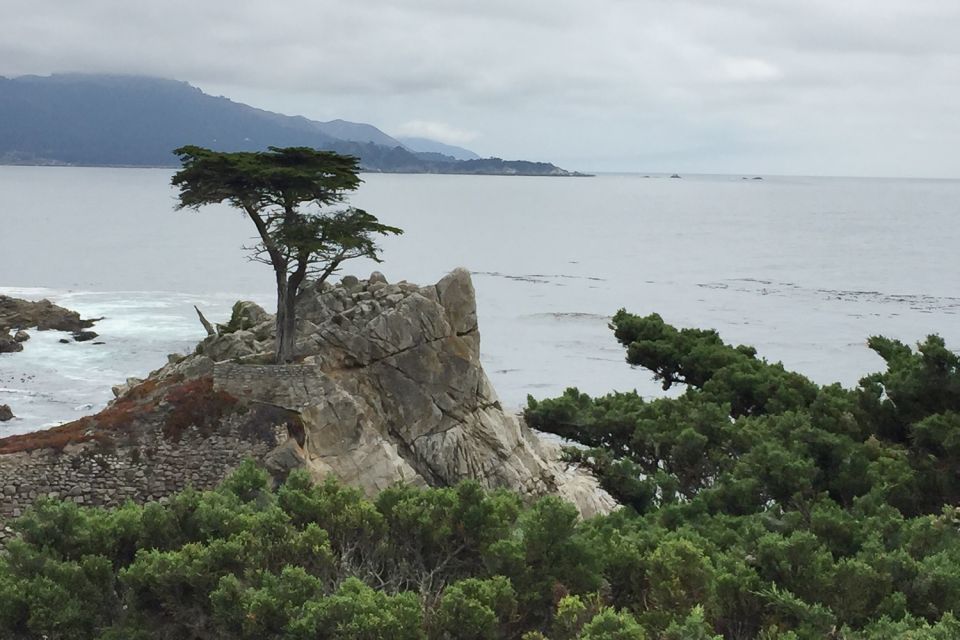 From San Francisco: Carmel, Monterey & Big Sur Private Tour - Key Points