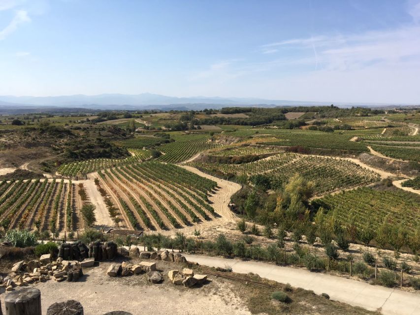 From San Sebastian/Bilbao/Vitoria: Rioja Wine Tour With Lunch - Key Points