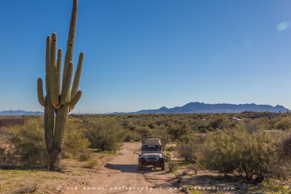 From Scottsdale: Sonoran Desert & Tonto National Forest Trip - Key Points