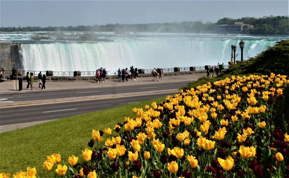 From Toronto: Niagara Falls Day Trip - Key Points