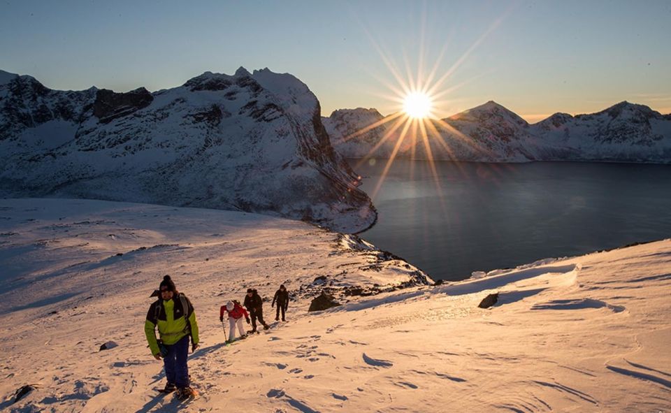 From Tromsø: Snowshoeing Hike With Picnic Lunch and Photos - Key Points