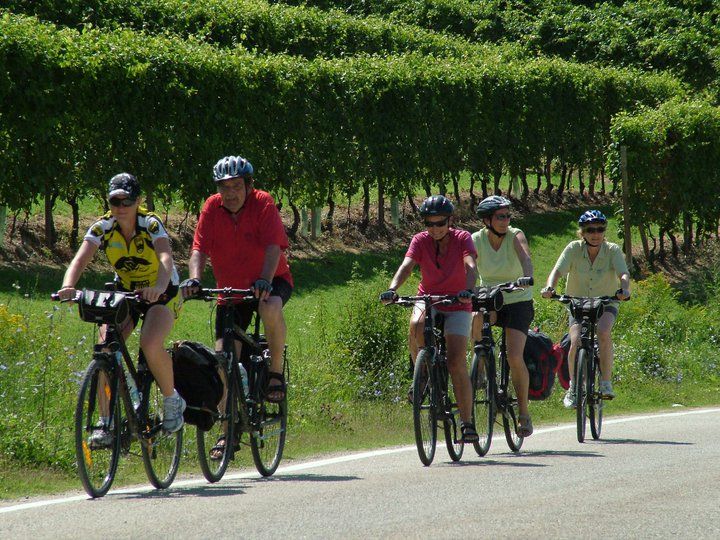 From Turin: 8-Day Cycling Tour in Piedmont - Key Points