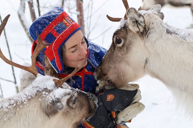 Full-Day Reindeer Tour With Pickup in Kiruna - Key Points